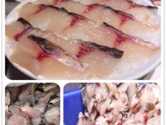 专业切鱼片机器 适用于三文鱼、鲶鱼切片机 自动斜切片机