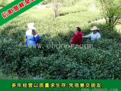贤峰茶叶(图),湖南绿茶报价,绿茶