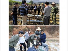 省农科院甘蔗所赵俊研讨员一行到勐海指点甘蔗消费