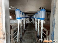 牧鑫养殖保证售后服务(图)-猪舍料线供货商-猪舍料线