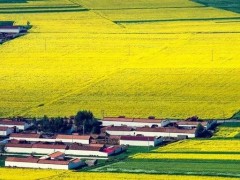 农业+人工智能(AI)，除了养猪，还能这样“推翻”农业