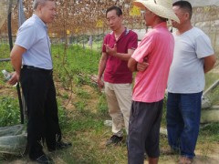 方建安局长检查指导节前蔬菜供应