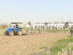 老河口：李楼镇张庄村民兵连抢抓时间保春耕-襄阳晋中市农业农村局