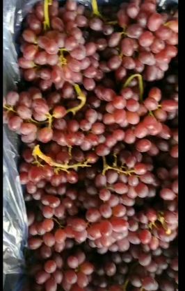 [供]自家克瑞森葡萄出售