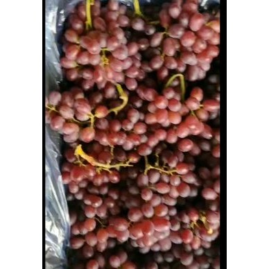 [供]自家克瑞森葡萄出售