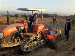 连城现场验证丘陵地带甘薯机械化收获成效