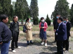 鹤壁市纪委监委驻鹤壁市农业农村局纪检监察组组长孟云艳深化扶风县反省小麦条锈病防治情况-宝鸡鹤壁市农业农村局