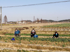 进贤县：农技员积极出动，多途径助力春耕消费