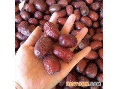 展会热卖新疆和田大枣低价直供