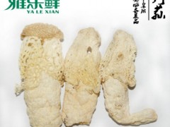 四川土特产野生食用菌干品竹荪野生菌干货