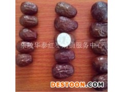 新疆和田大枣厂家信息