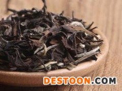 老白茶与新白茶的区别有哪些