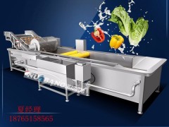 萝卜清洗机 气泡冲浪蔬菜酱腌菜清洗机