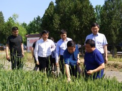 抓补防 促整改 保歉收做好“六稳”“六保” 决战决胜脱贫攻坚-宝鸡鹤壁市农业农村局