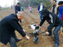 旬阳县农技站：秋夏季栽桑忙