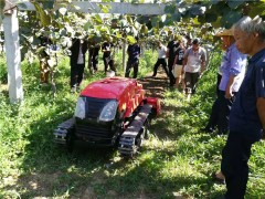 眉县：农机中心科研效果荣获全国农牧渔业歉收奖