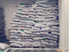 四川哪里有生瓜子批发厂