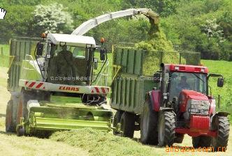 玉米秸秆青贮 黄贮 乳酸菌发酵秸秆 乳酸菌秸秆饲料发酵剂