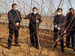 甘泉：疫情防控与产业展开两手抓两不误