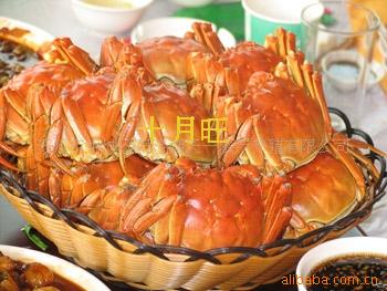 阳澄湖天一水产诚招优秀阳澄湖大闸蟹加盟商