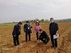 进贤县民和镇积极指点粮食消费任务