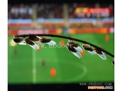 如何人工养殖金蝉-淄博人工养殖金蝉-淼源金蝉养殖中心