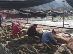 宁强：一手抓疫情防控 一手抓产业展开