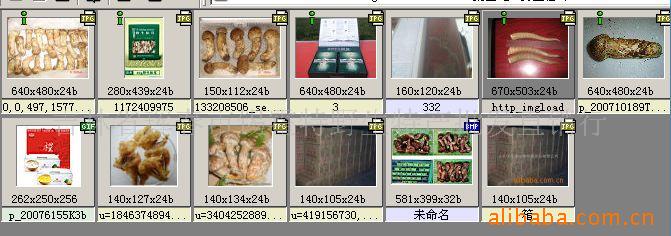 长白山野生新鲜速冻松茸 干片 野生原产地证明