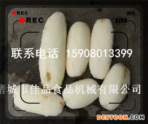 火锅料莲藕去皮机 净菜莲藕去皮机效果图和视频展示