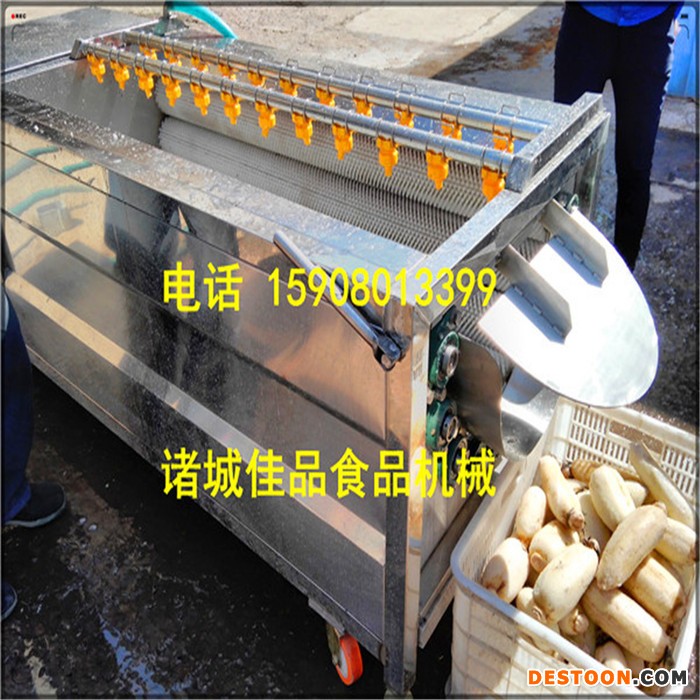 莲藕去泥清洗机 莲藕清洗去皮机 莲藕去皮清洗机 专业打造