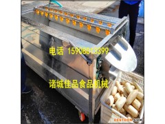 莲藕去泥清洗机 莲藕清洗去皮机 莲藕去皮清洗机 专业打造