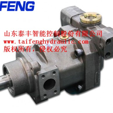 泰丰智能TFB1V80系列轴向柱塞泵