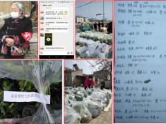 战“疫”日记：我给“老太太”当跟班-襄阳晋中市农业农村局