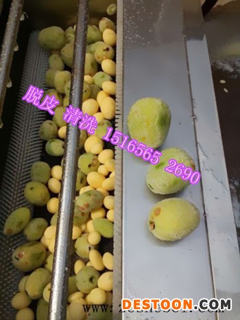 湖南莲藕去皮机 湖北大型莲藕去皮机 江苏莲藕去皮清洗机