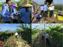 展开农产质量量安全普查，片面掌握我市农产质量量安全情况