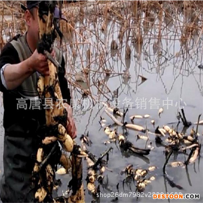 莲藕收获机  采藕机  全新热销新型挖藕机  船式莲藕挖掘机