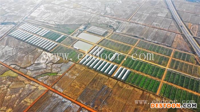 润昌果业(图)-果冻橙种植基地-金华果冻橙