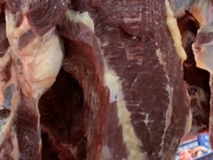 [供]广东汕尾 批发牛肉羊肉