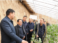 延伸：中国延安干部学院院务委员贾波一行来延伸县调查洽谈农产品供应协作事宜