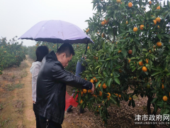 展开“不忘初心、牢记使命”主题教育农产质量量安全专项抽检义务_义务静态_综合静态