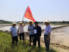 红旗飘扬，22个小分队奔赴灾区——市农业农村局展开灾后恢复消费技术指点任务