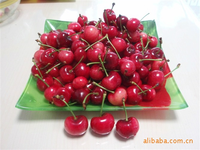 常年供应红富士苹果，大樱桃,是馈赠亲友，企业福利的理想果品
