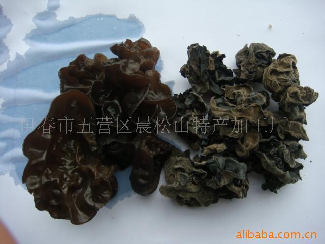 批发供应东北土特产地栽木耳