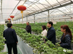 澄城：苏陕产业协作，架起两地沟通的桥梁