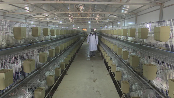 640.webp.jpg 640.webp.jpg