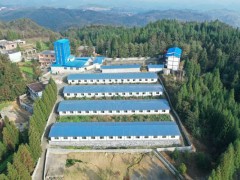 良知企业， 三年给贫穷户分红247万元