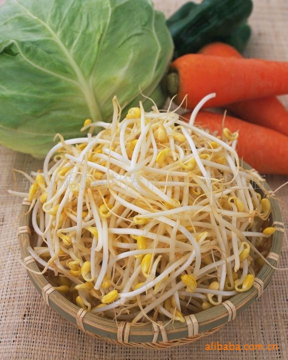 长期供应生芽黄豆、日本豆、扁豆、豌豆、白芸豆等