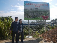 县农业乡村局组织反省2019年商品无机肥示范推行项目示范片树立情况_政务地下_仙游县农业乡村局