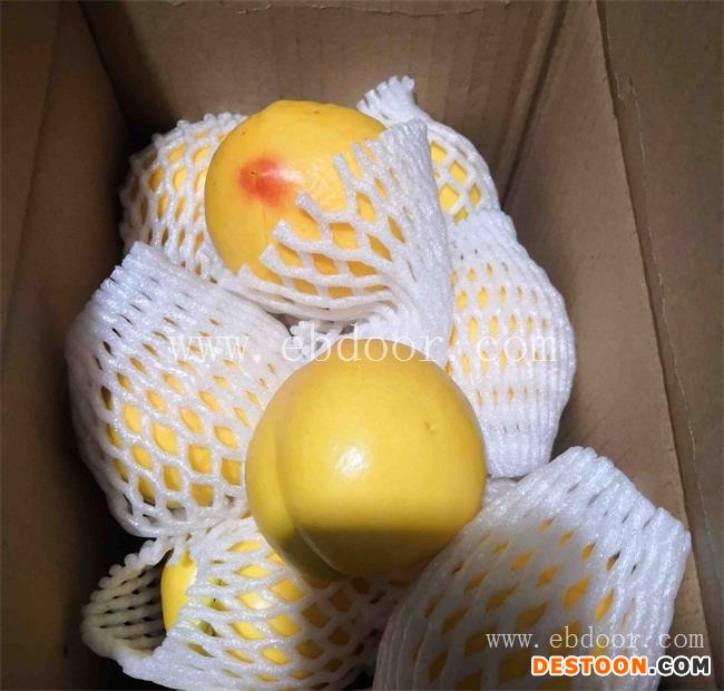 杭州黄桃-绿之堂-黄桃种植