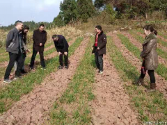 张羽总农艺师调研安居区病虫防治义务